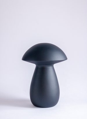 COGUMELO G PRETO FOSCO