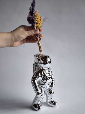 ASTRONAUTA PRATA