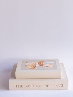 KIT LIVROS-CAIXA FUNGI- 2 PEÇAS